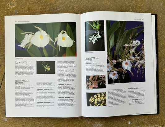 BOOKS - ENCYCLOPEDIA OF ORCHIDS